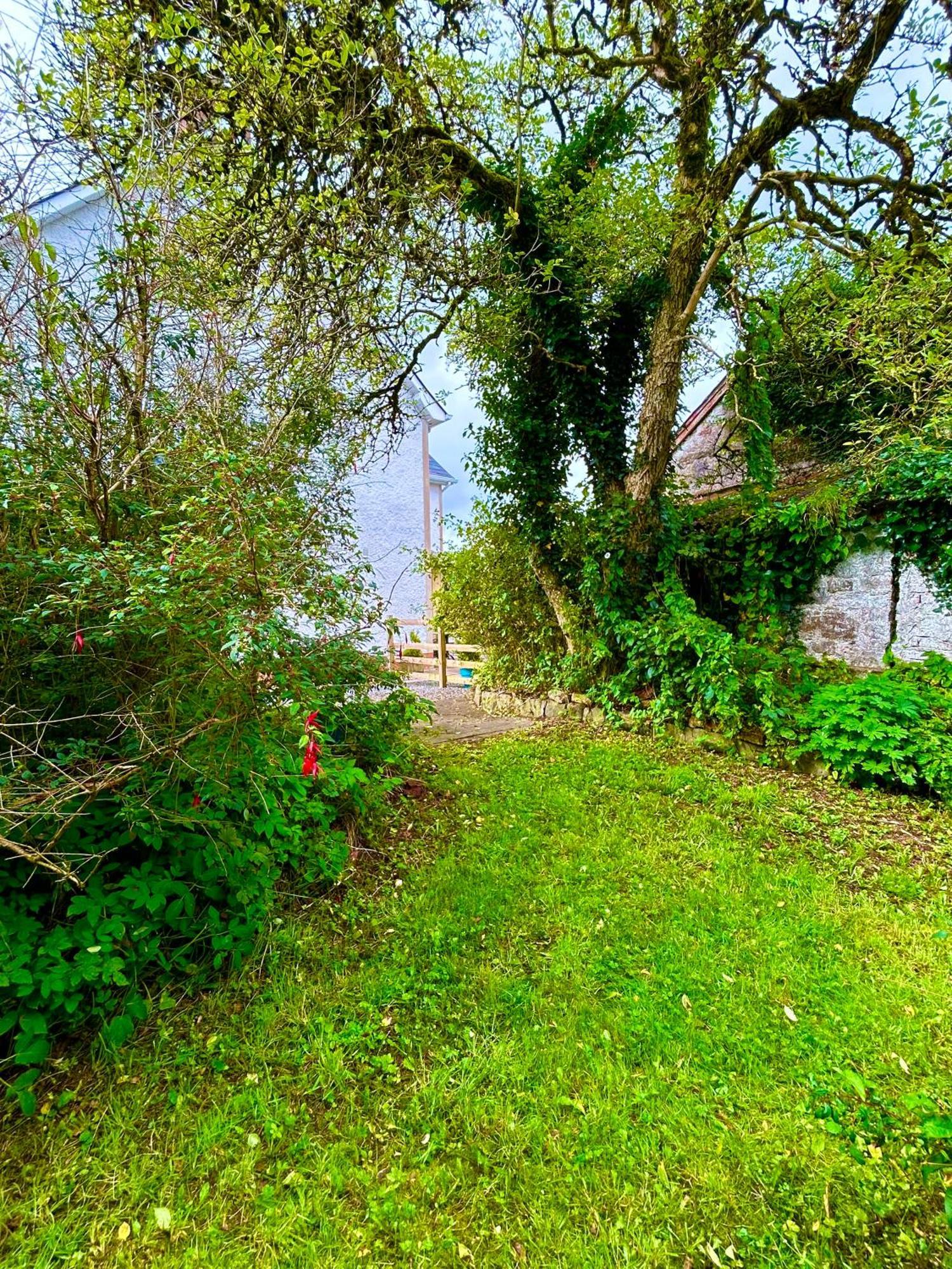 Lime Tree House Villa Maguires Bridge Ngoại thất bức ảnh